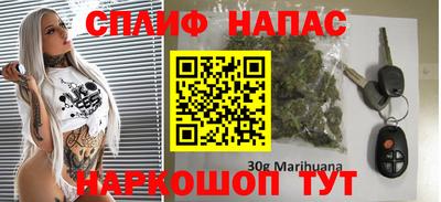 СК Бердск