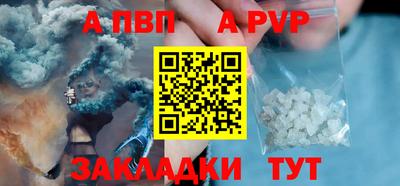 СК Бердск