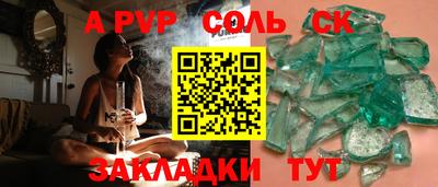 СК Бердск