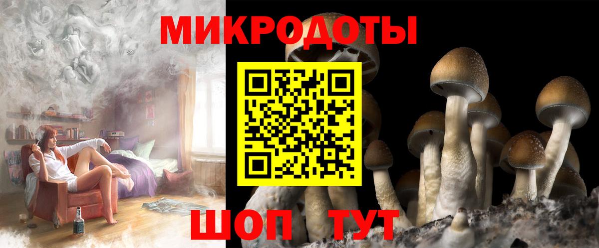Качканар  Псилоцибиновые грибы MAGIC MUSHROOMS  Галлюциногенные грибы Psilocybe  Вход с VPN 